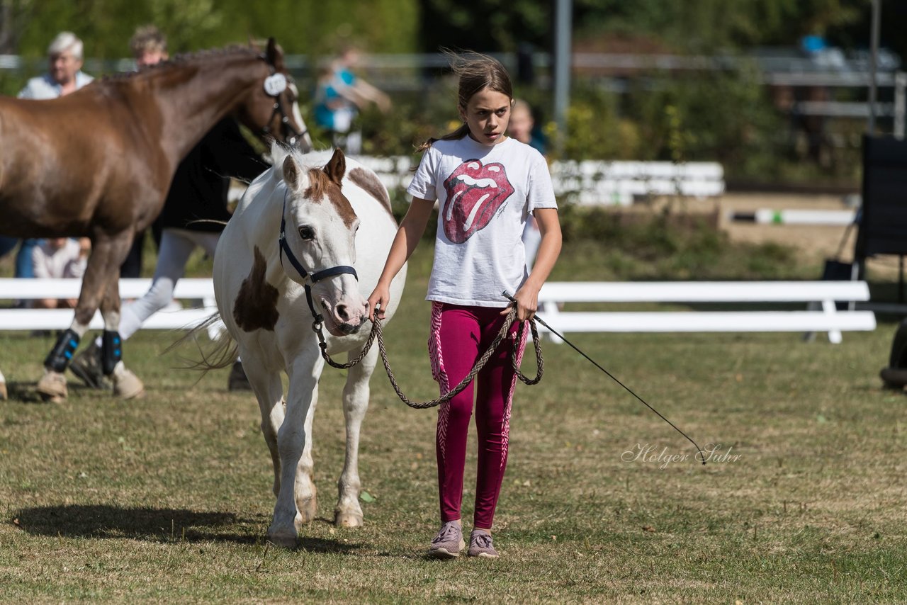 Bild 22 - Pony Akademie Turnier